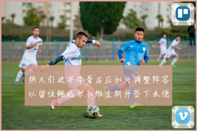 热火引进字母哥后应如何调整阵容以留住鲍威尔和维金斯并签下米德尔顿