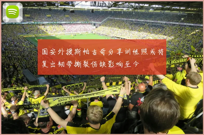 国安外援斯帕吉奇分享训练照或将复出韧带撕裂伤缺影响至今